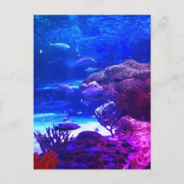 コーラルパーソナライズされたリーフ ポストカード