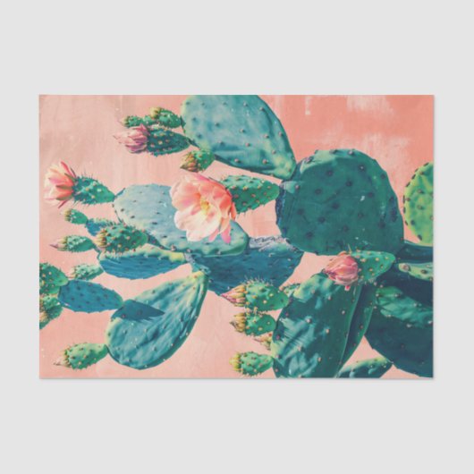 コーラルピンクの壁の切り離しサボテンを閉じる 薄葉紙 (正面)
