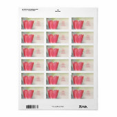 コーラルピンクガーデンチューリップ ラベル (フルシート)