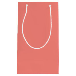 コーラルピンクスモール抱き枕 スモールペーパーバッグ