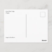 コーラルピンクチューリップ ポストカード (裏面)