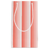 コーラルピーチシャドーストライプド スモールペーパーバッグ (正面)