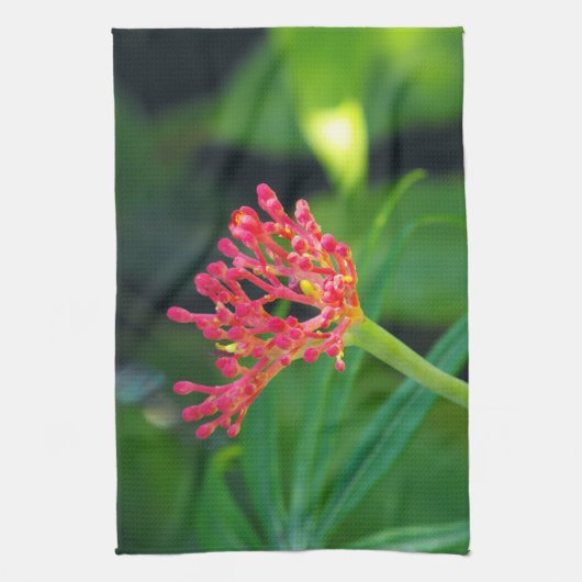 コーラルブッシュ開花 キッチンタオル (縦)