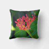 コーラルブッシュ開花 クッション (裏面)