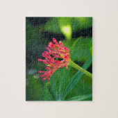 コーラルブッシュ開花 ジグソーパズル (縦)