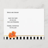 コーラルポピーとストライプの結婚式の日付を保存 案内ポストカード (裏面)