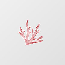 コーラルリーフアンダーザシーテーマウォールデカール