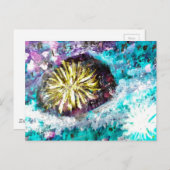 コーラルリーフカラフルシーウルチン ポストカード (正面/裏面)