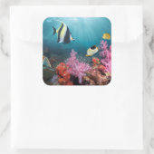 コーラルリーフシーナリー | Moorish Idol スクエアシール (バッグ)