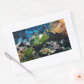 コーラルリーフシール 長方形シール (封筒)