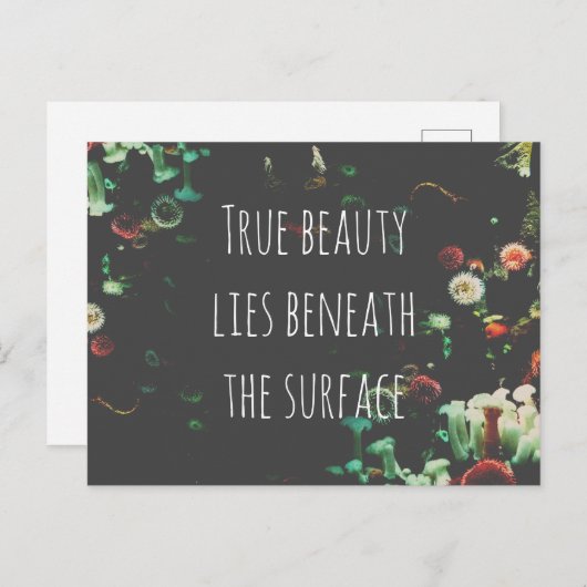 コーラルリーフ感動的アンダーサーフェス引用文 シーズンポストカード (正面/裏面)