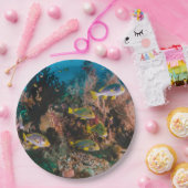 コーラルリーフ紙プレート ペーパープレート (パーティー)