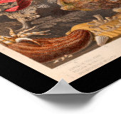 コーラルレッドマリンライフヴィンテージアートプリント ポスター (角)