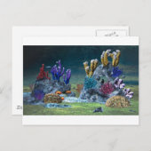 コーラル素晴らしリーフ ポストカード (正面/裏面)