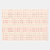 コーラル離れオレンジに上品なフローラアートパターン ラッピングペーパーシート (正面2)