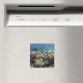 コーラル、アギンコート素晴らし礁、バリアリーフ、 マグネット (インサイチュ (食洗機))