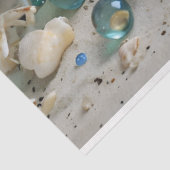 コーラル&シェルディスプレイパステルブルーティッシュペーパー 薄葉紙 (詳細)