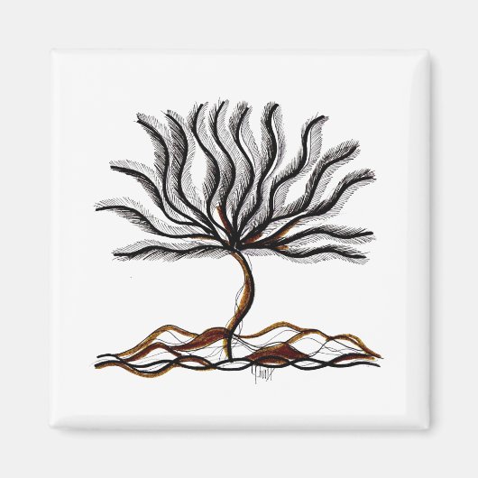 コーラル マグネット (正面)