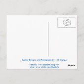 コーラル #1 ポストカード (裏面)