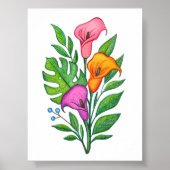 コーラ・リリーの花の色鉛筆画 ポスター (正面)