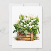 コーラ・リリーの花の誕生日パーティー招待状 招待状 (裏面)