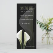 コーラ・リリー Save the Date 発表 セーブザデート (スタンド正面)