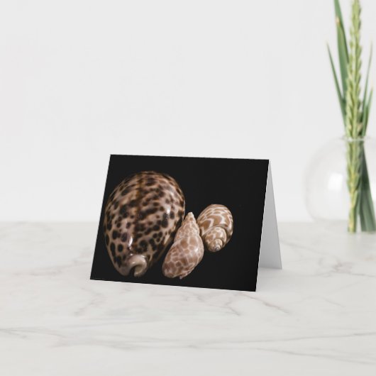 コーリーコーンカード カード (正面)