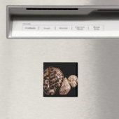 コーリーコーン磁石 マグネット (インサイチュ (食洗機))