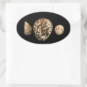 コーリーコーン2ステッカー 楕円形シール (バッグ)