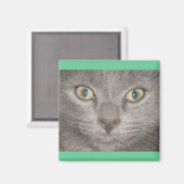 コールグレイ子猫顔 マグネット (正面/裏面)