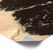 コールシェヴェルポシュガール ポスター (角)