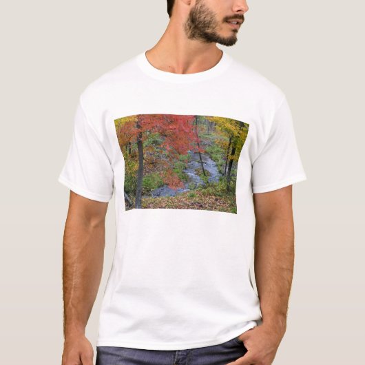 コールズクリークの近くに秋のメープルの木々が並ぶ Tシャツ (正面)