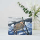 コールドドライブ1 ポストカード (スタンド正面)