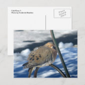 コールドドライブ1 ポストカード (正面/裏面)