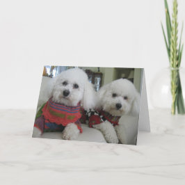 "コールドノーズ、暖かいハート" - Greeting Card シーズンカード