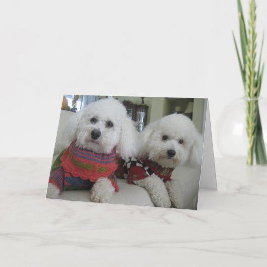 "コールドノーズ、暖かいハート" - Greeting Card シーズンカード (正面)