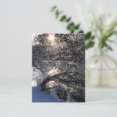 コールドリバーハフレン シーズンカード (スタンド正面)