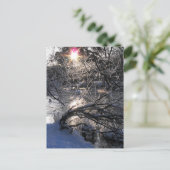 コールドリバーハフレン ポストカード (スタンド正面)