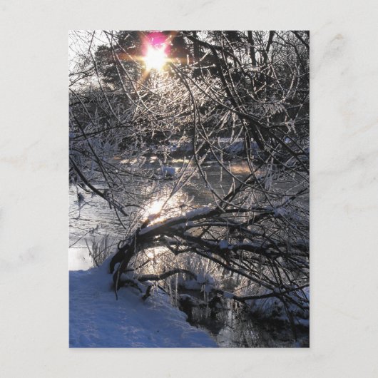 コールドリバーハフレン ポストカード (正面)