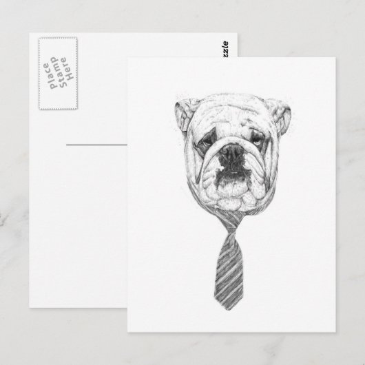 コールド ポストカード (正面/裏面)