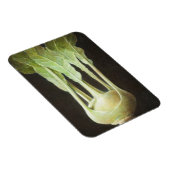 コールラビ2012 マグネット (右側)