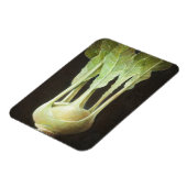 コールラビ2012 マグネット (左側)