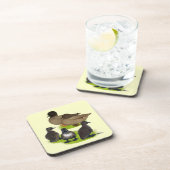 コール ダック カーキ ファミリー コースター (右側)