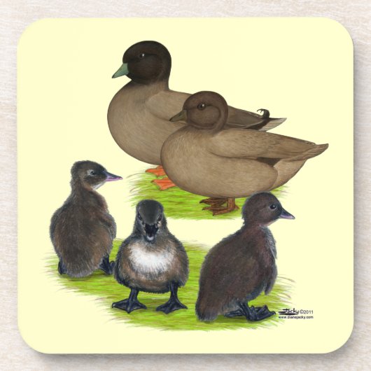 コール ダック カーキ ファミリー コースター (正面)