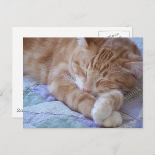 コール ポストカード (正面/裏面)