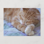 コール ポストカード (正面)