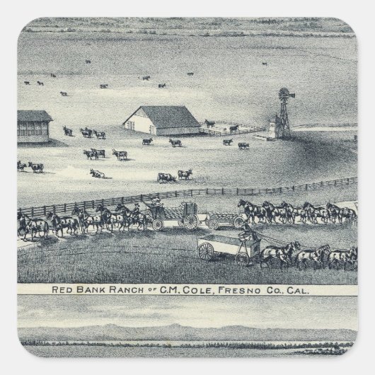 コール・ランシュ スクエアシール (正面)