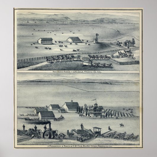 コール・ランシュ ポスター (正面)