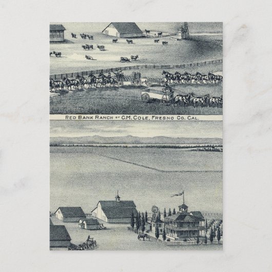 コール・ランシュ ポストカード (正面)