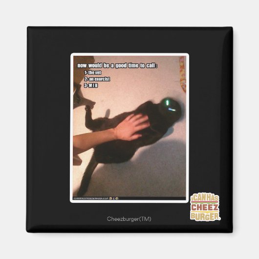 コールMIB マグネット (正面)